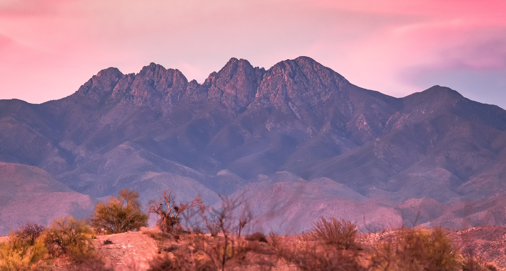 Sunset Desert Mountains With Cactus